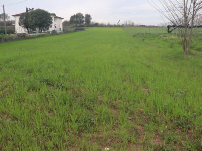 DUGENTA (BN) - 2 TERRENO CON DESTINAZIONE “G”
