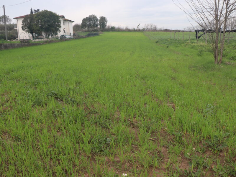 DUGENTA (BN) - 2 TERRENO CON DESTINAZIONE “G”