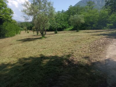 MELIZZANO (BN) - 127 TERRENO AGRICOLO FRONTE STRADA