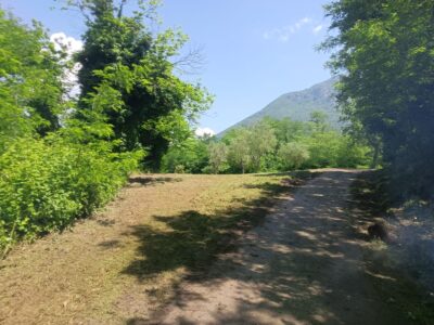 MELIZZANO (BN) - 127 TERRENO AGRICOLO FRONTE STRADA