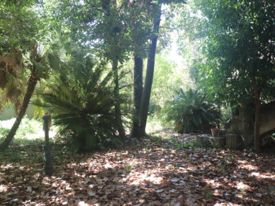 MELIZZANO (BN)- 133 NUDA PROPRIETA' DI UN FABBRICATO CON GIARDINO