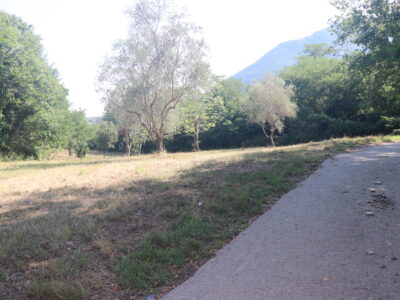 MELIZZANO (BN) - 127 TERRENO AGRICOLO FRONTE STRADA