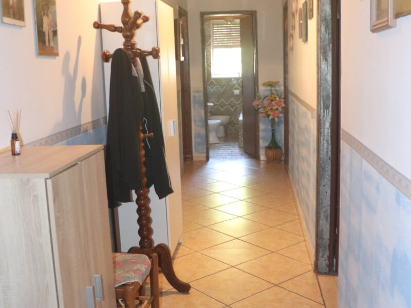 CAIAZZO (CE) - 185 NUDA PROPRIETA' - CASA COLONICA CON TERRENO A CAIAZZO