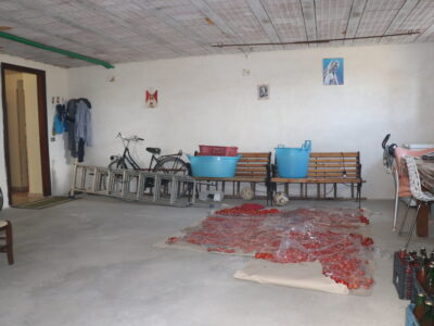 DUGENTA (BN) - 245 APPARTAMENTO CON GIARDINO