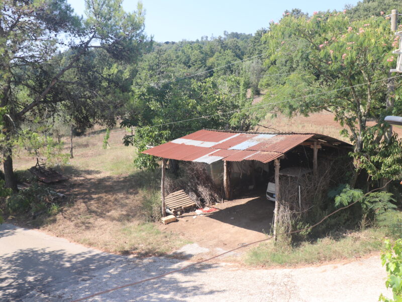CAIAZZO (CE) - 185 NUDA PROPRIETA' - CASA COLONICA CON TERRENO A CAIAZZO