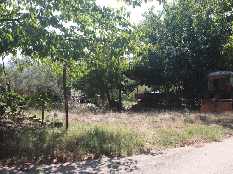 CAIAZZO (CE) - 185 NUDA PROPRIETA' - CASA COLONICA CON TERRENO A CAIAZZO