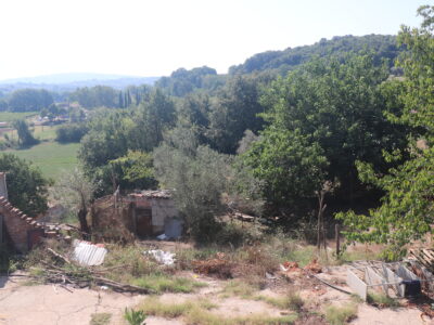 CAIAZZO (CE) - 185 NUDA PROPRIETA' - CASA COLONICA CON TERRENO A CAIAZZO
