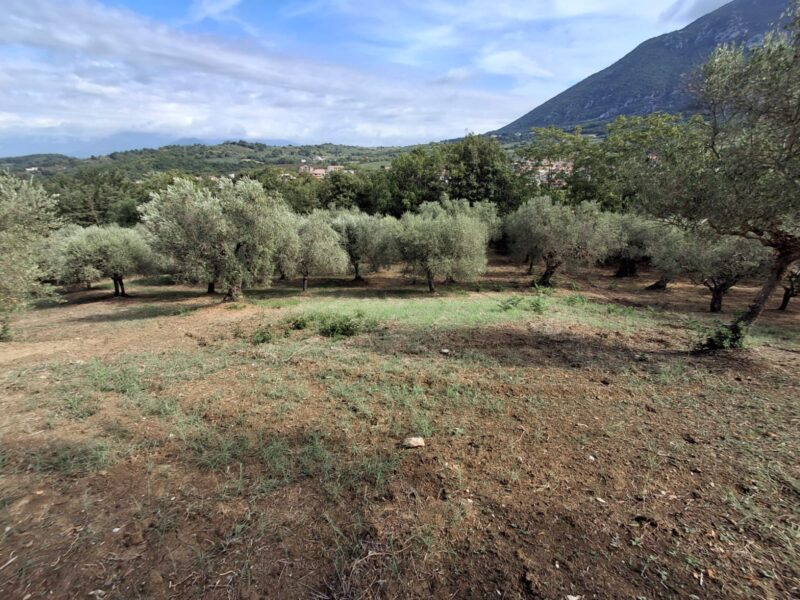 MELIZZANO (BN) - 152 TERRENO AGRICOLO IN COLLINA