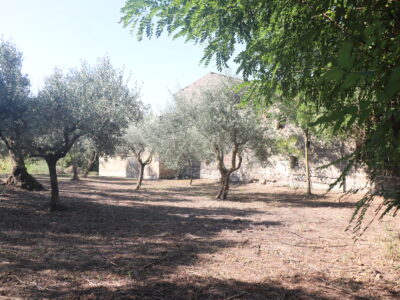 ALVIGNANO (CE) - 143 INTERO BORGO RURALE CON TERRENO IN POSIZIONE PANORAMICA