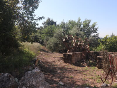 ALVIGNANO (CE) - 143 INTERO BORGO RURALE CON TERRENO IN POSIZIONE PANORAMICA