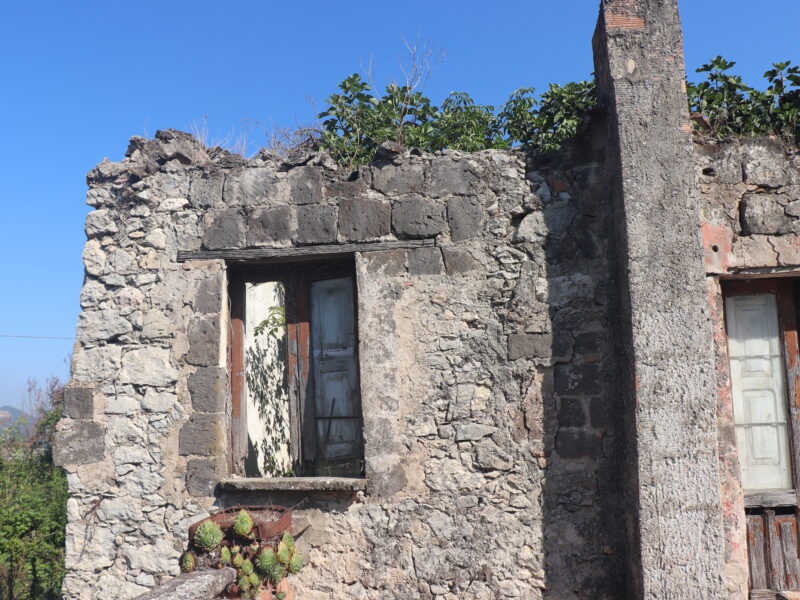 ALVIGNANO (CE) - 143 INTERO BORGO RURALE CON TERRENO IN POSIZIONE PANORAMICA